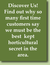 Discover Us!  Find out why so many first time customers say we must be the best kept horticultural secret in the area.